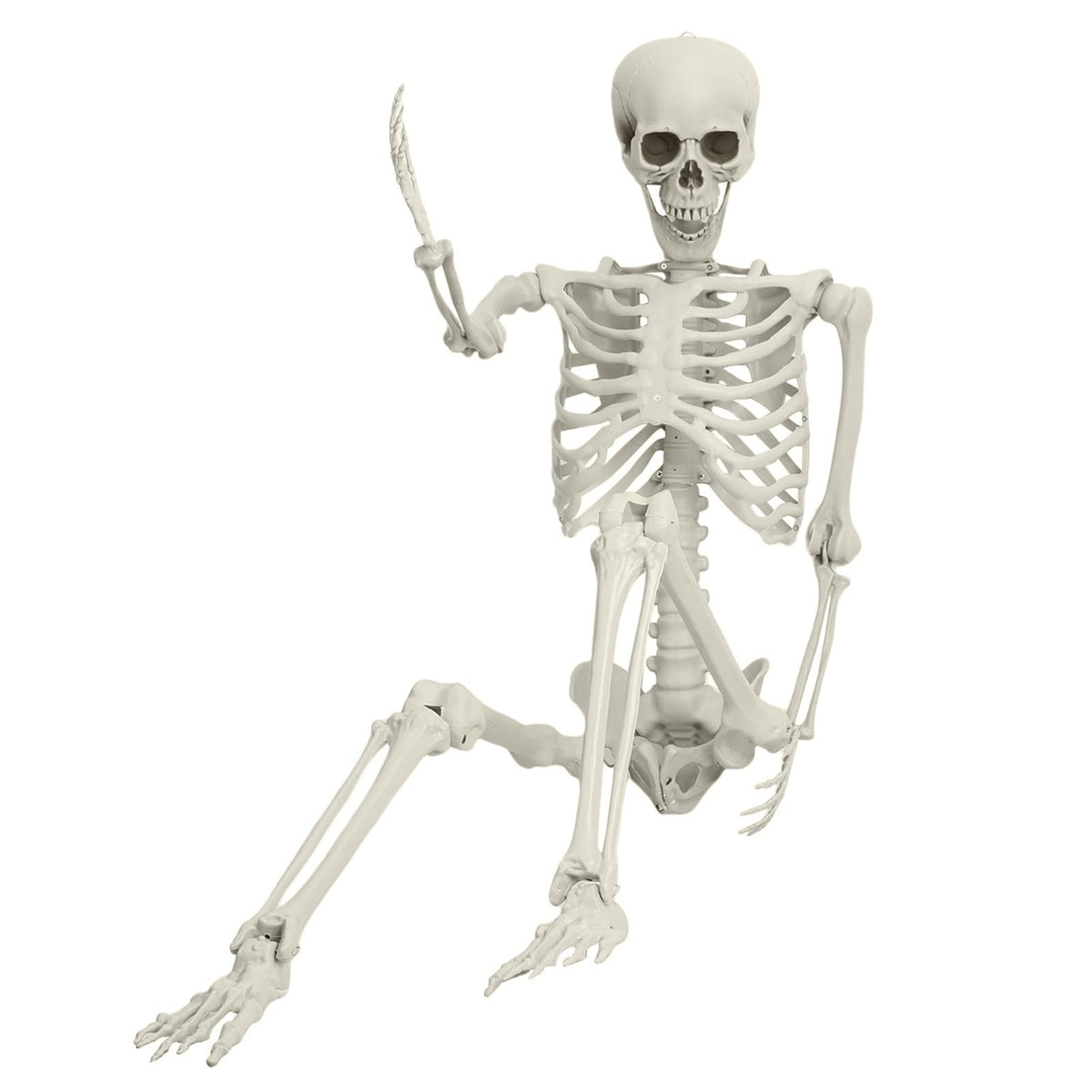 5.4ft Posable Plastic Skeleton V7404