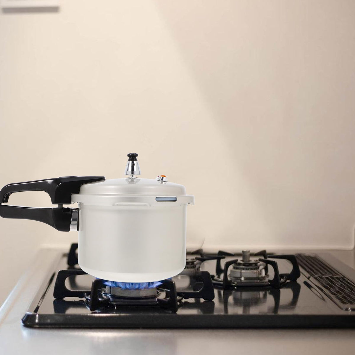 Pressure Cooker 3l Aluminum Pot with Handle Y7050