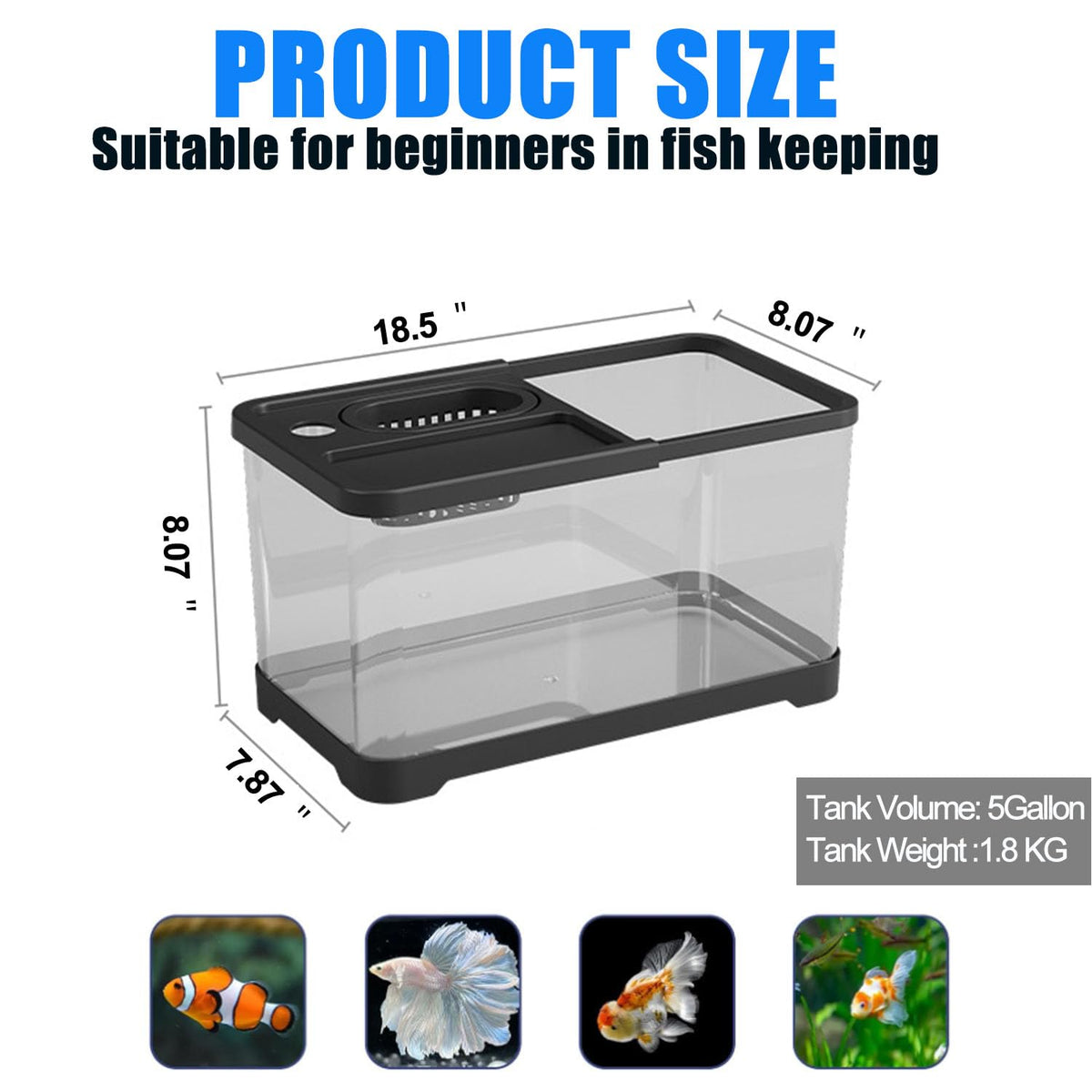 5 Gallon Plastic Fish Tank with Filter and Lid V937915