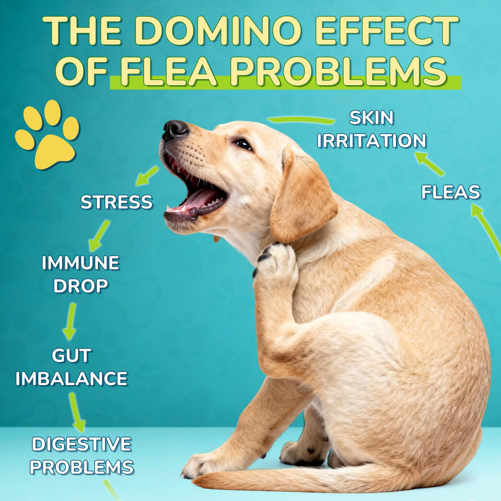 Flea and Tick Prevention Drops with Probiotics B76593