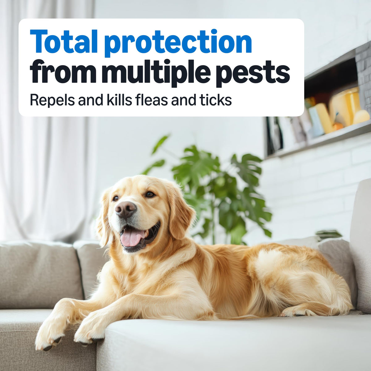 Flea and Tick Topical Treatment for Medium Dogs 3 Count F596