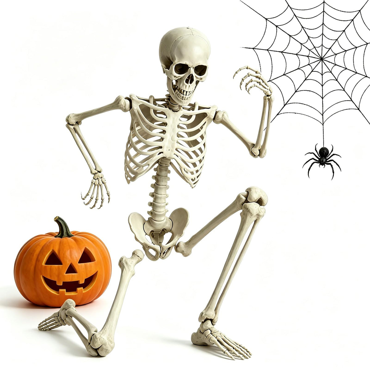5.4FT Life Size Skeleton with Movable Joints H337036