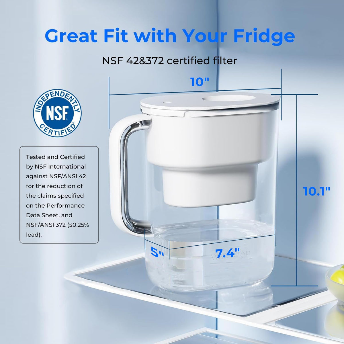 White 10-Cup Water Filter Pitcher K862061