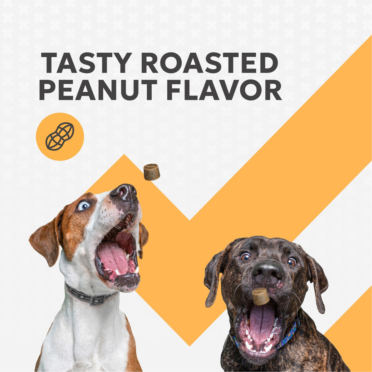 Soft Chews Supplement for Dogs 90ct A1660