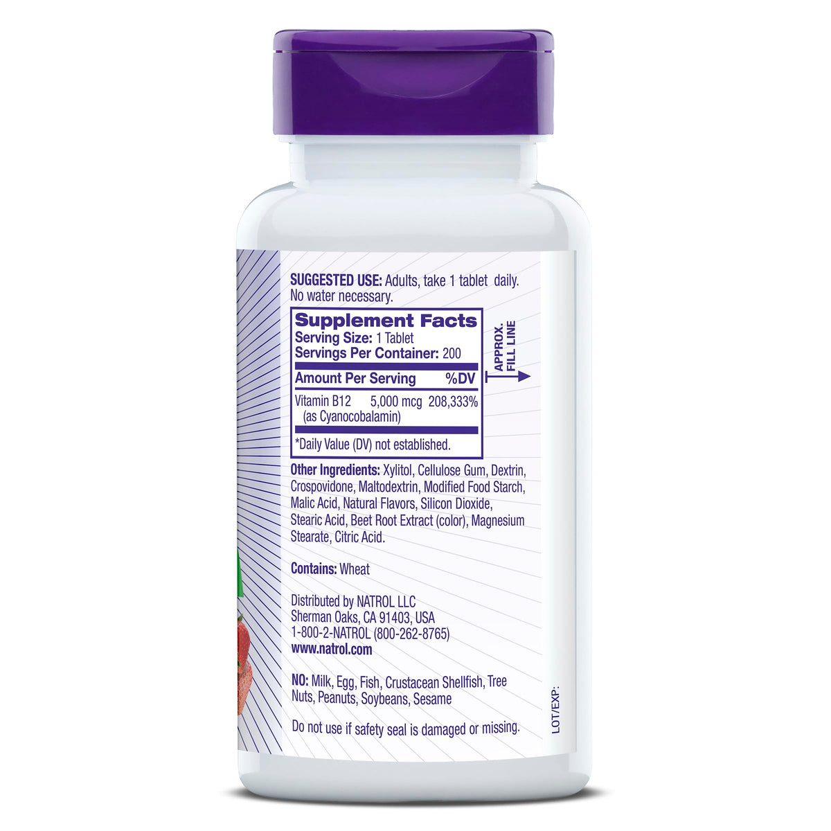 B12 5000 mcg Fast Dissolve 200 Tablets E65496