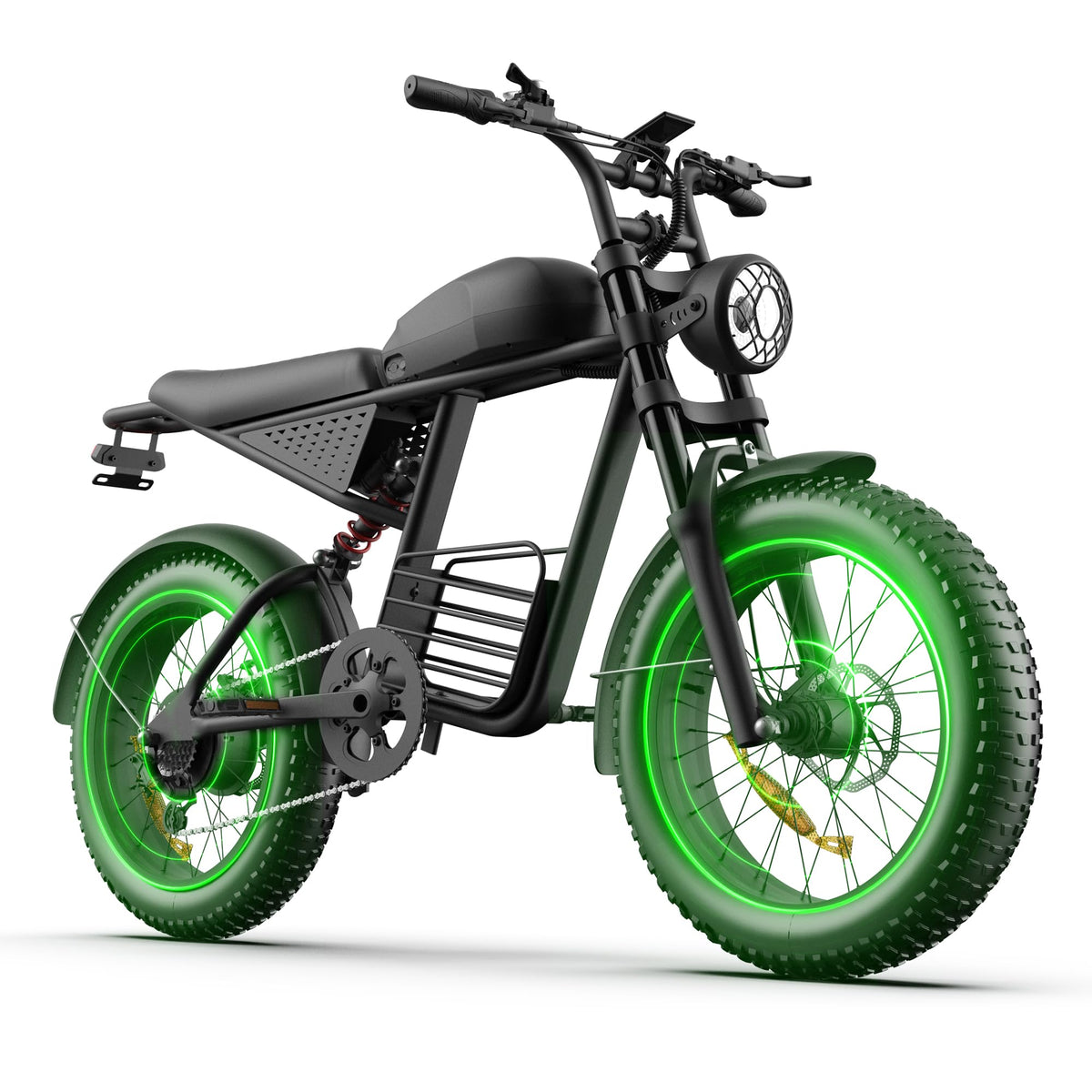 1500W 48V 20Ah Electric Bike R8623