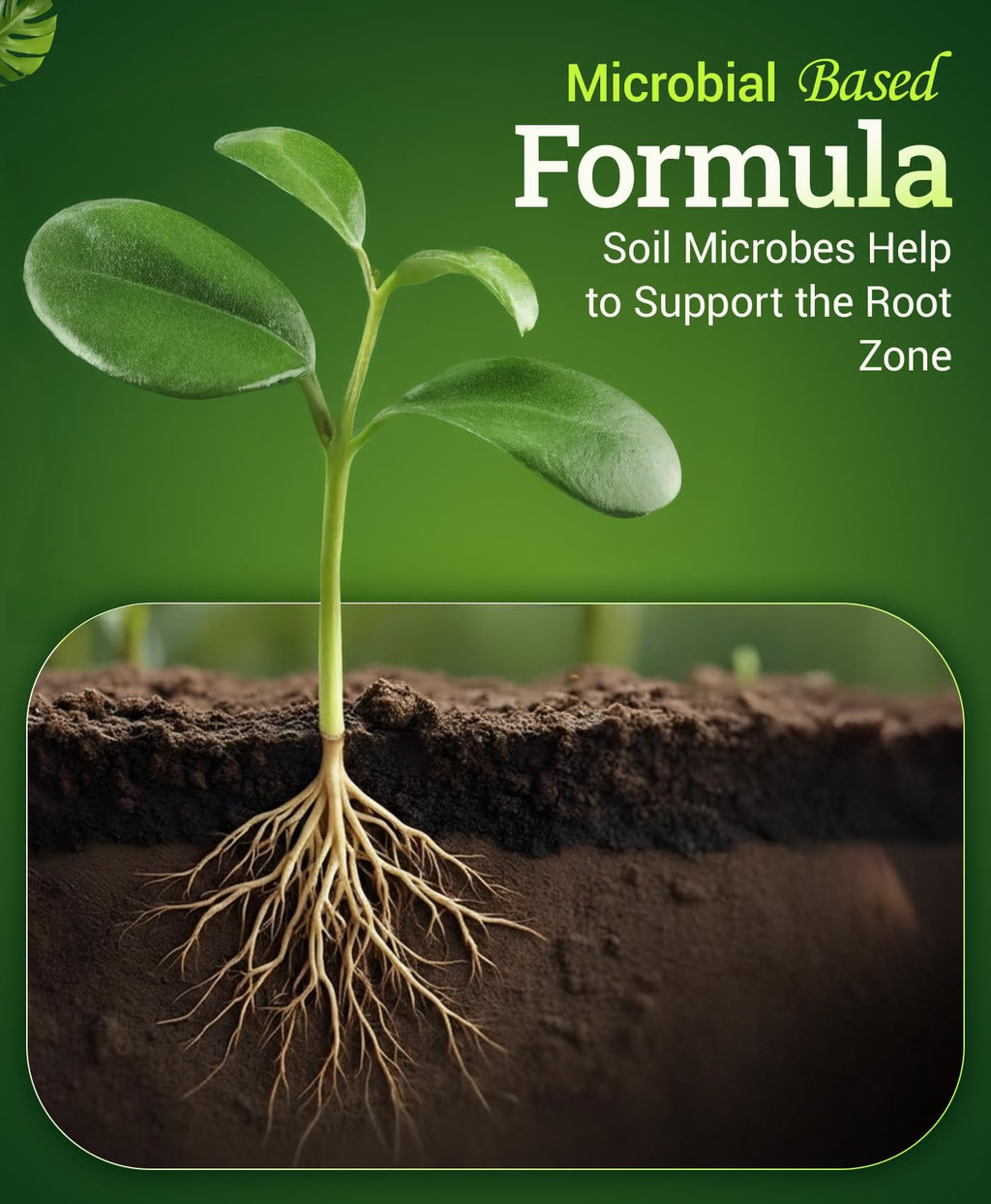 Liquid Plant Fertilizer 1 Pint R76164