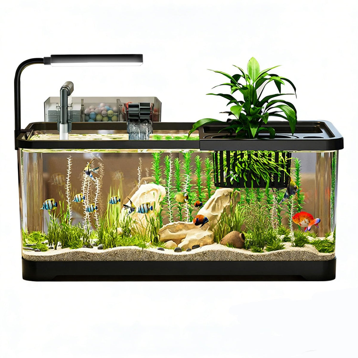5 Gallon Plastic Fish Tank with Filter and Lid V937915