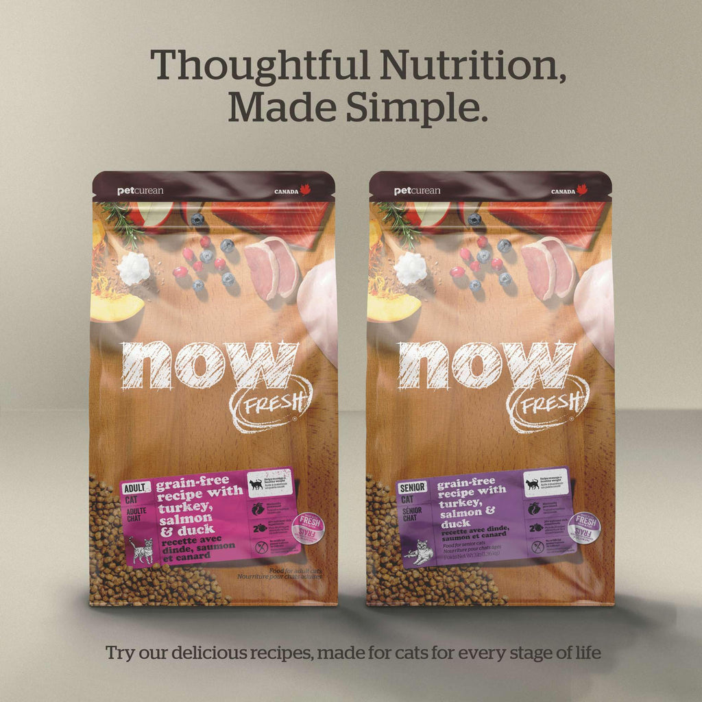 Grain-Free Turkey Salmon & Duck Dry Cat Food 3 lbs U709449