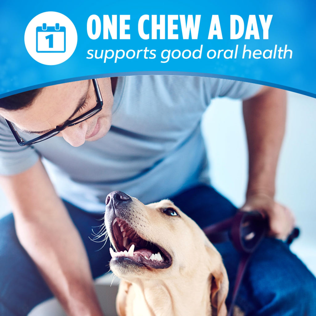 Daily Dental Chews for Large Dogs, 18 ct M8154