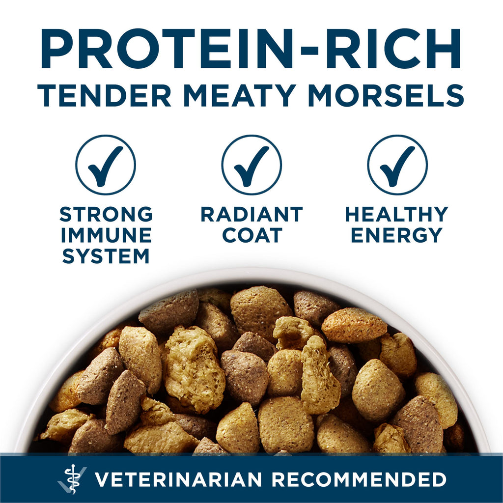 Adult Large Breed Dry Dog Food Chicken 40 lb Bag N57948