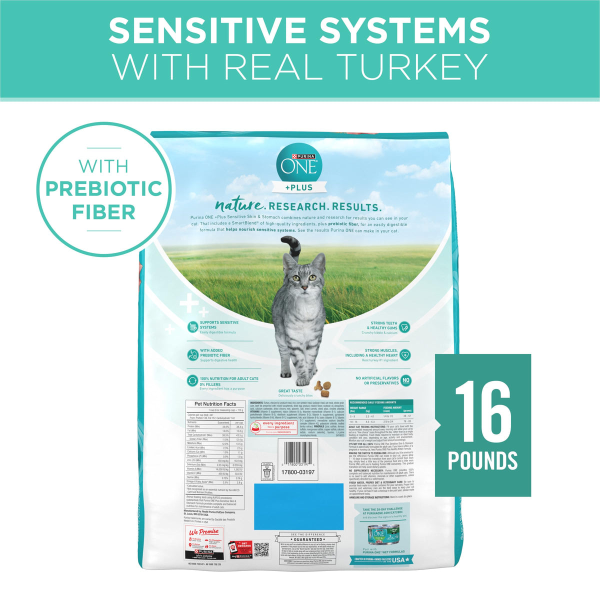 Sensitive Skin and Stomach Dry Cat Food 16 lb Bag Q874269