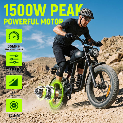 1500W 48V 20Ah Electric Bike R8623