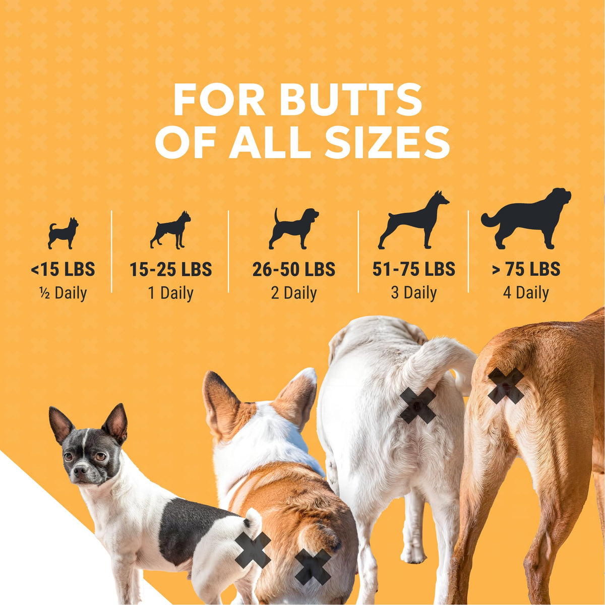 Soft Chews Supplement for Dogs 90ct A1660