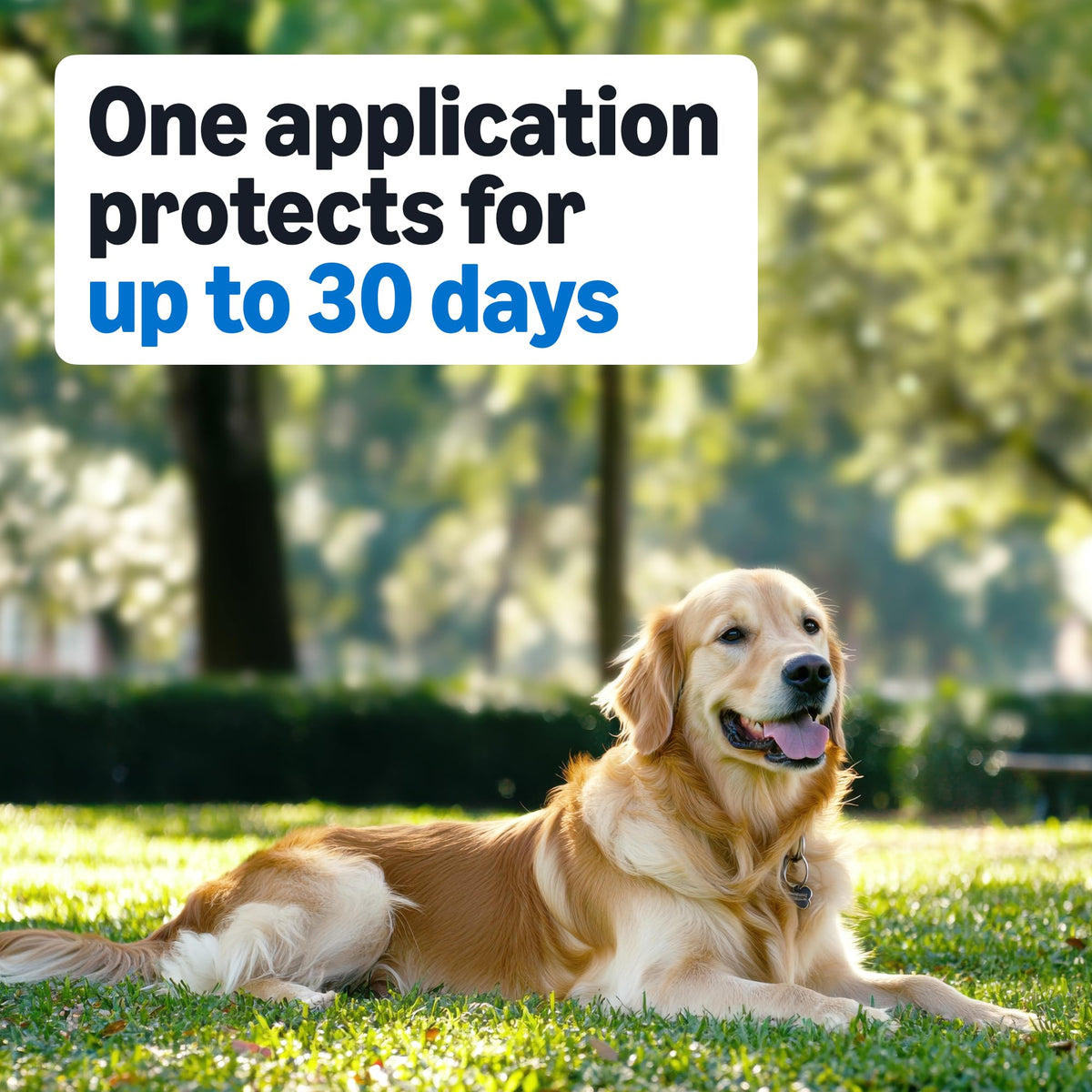 Flea and Tick Topical Treatment for Medium Dogs 3 Count F596