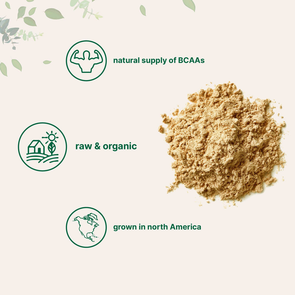 Organic Pea Protein Powder, 1KG (2.2 Pounds), Plant-Based Vegan S725
