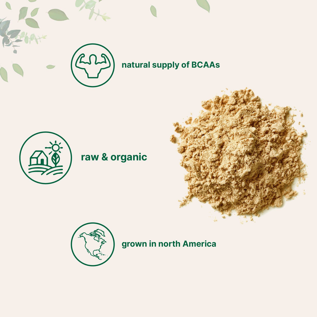 Organic Pea Protein Powder, 1KG (2.2 Pounds), Plant-Based Vegan S725