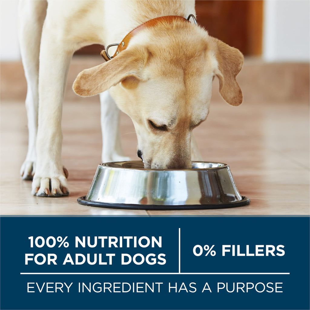 Adult Large Breed Dry Dog Food Chicken 40 lb Bag N57948