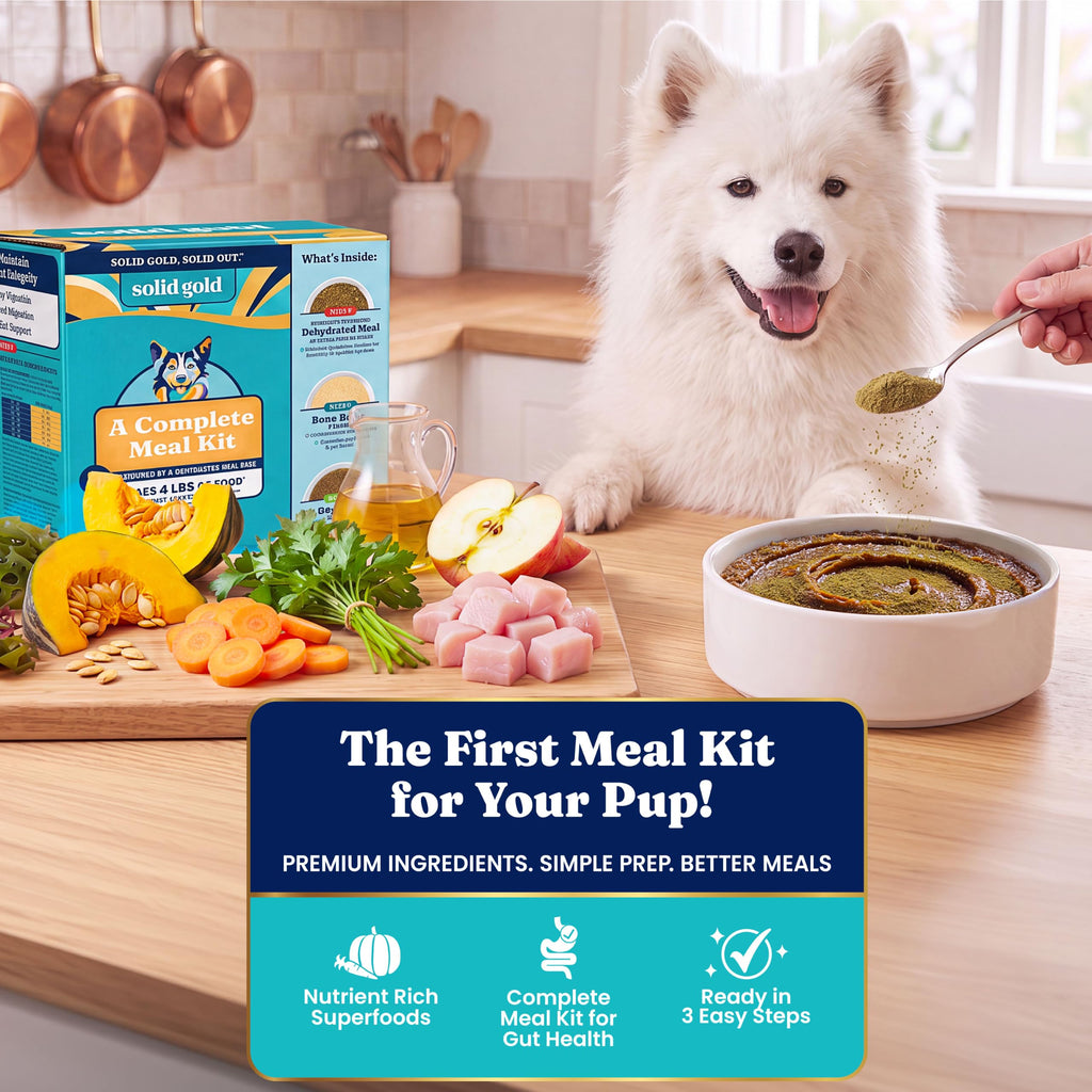 Solid Gold Chicken Dehydrated Dog Food Y700