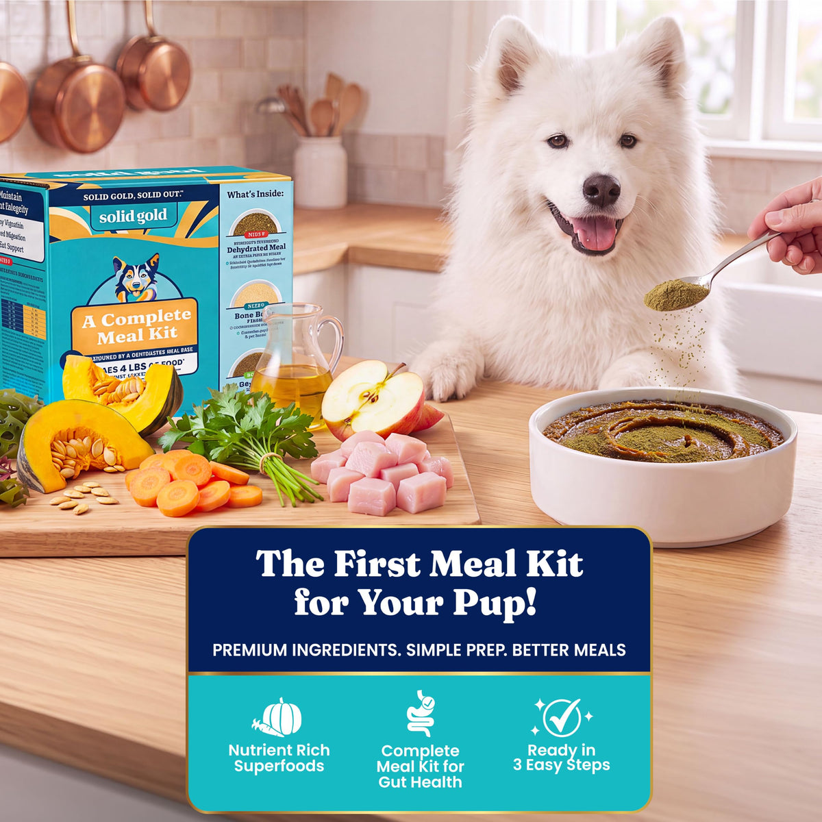 Solid Gold Chicken Dehydrated Dog Food Y700