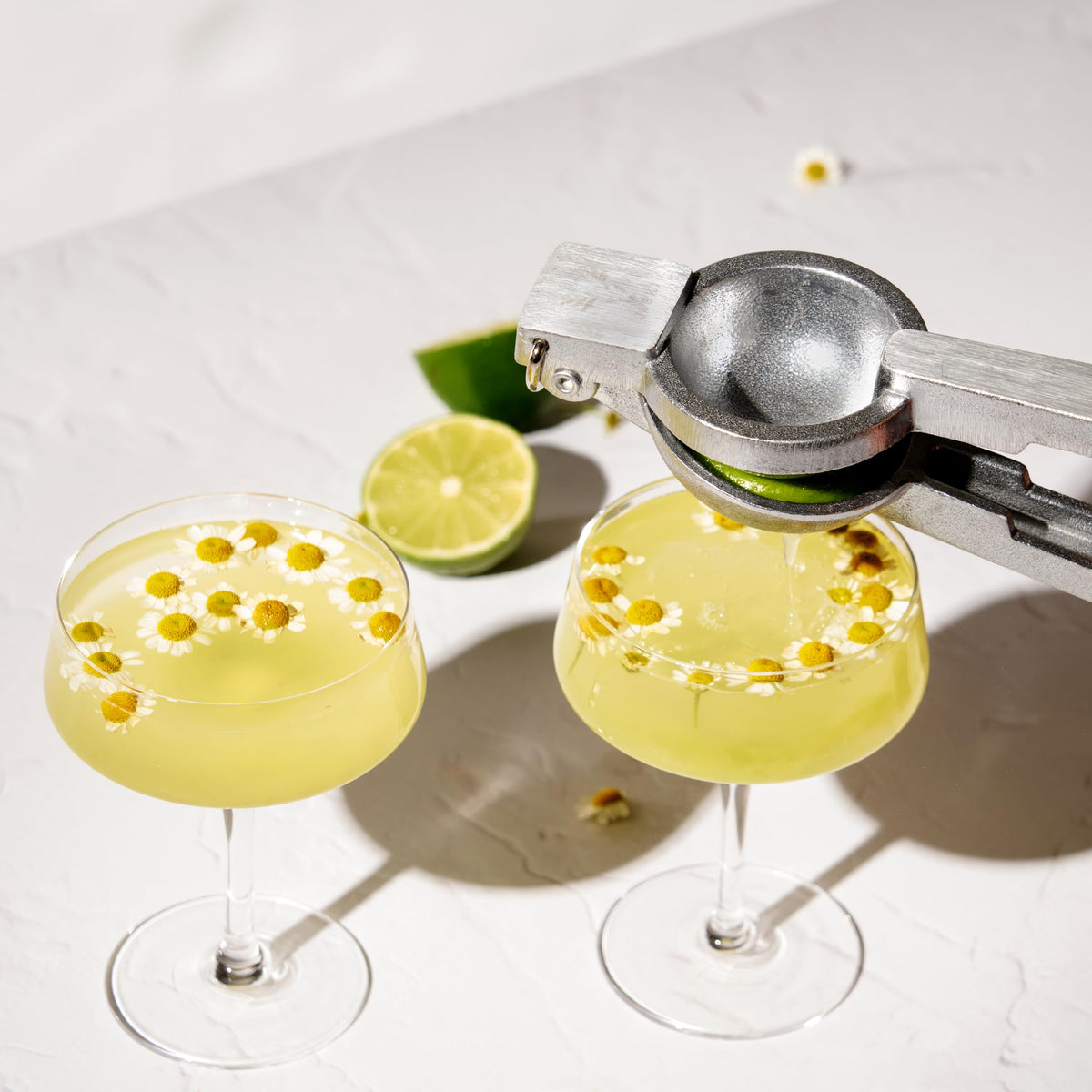 Crystal Coupe Cocktail Glasses Set of 4 J984
