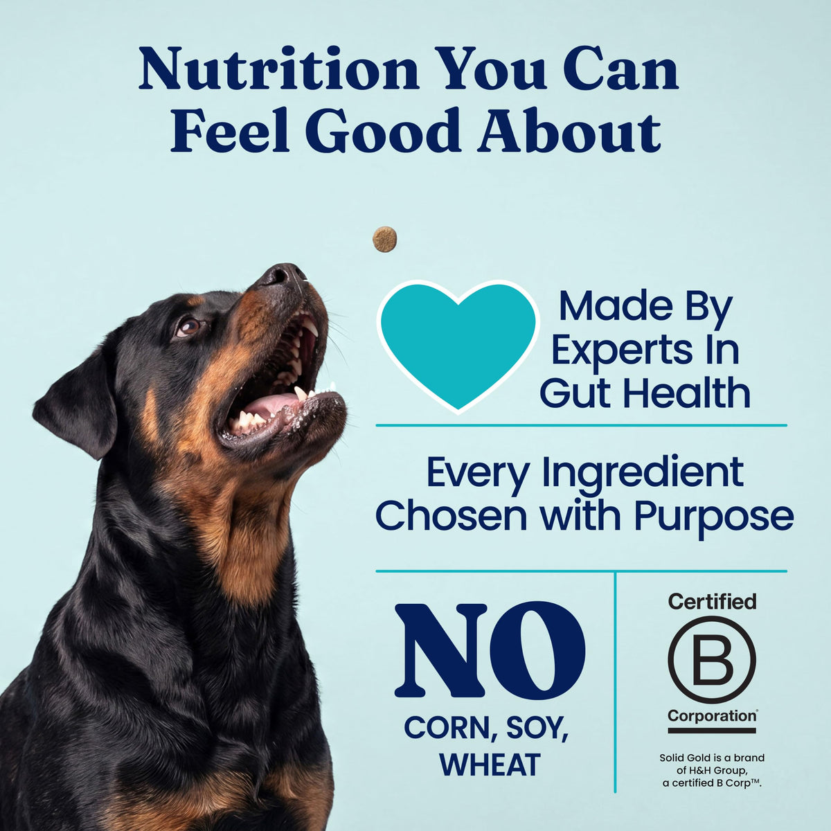 Solid Gold Chicken Dehydrated Dog Food Y700