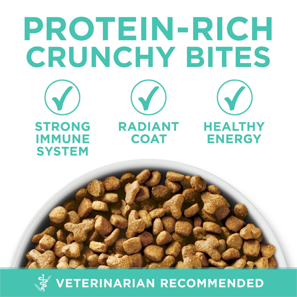 Sensitive Skin and Stomach Dry Cat Food 16 lb Bag Q874269