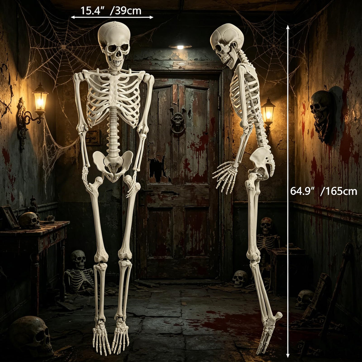 5.4FT Life Size Skeleton with Movable Joints H337036