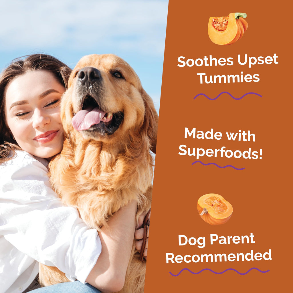 Pumpkin Digestive Supplement for Dogs 15oz W477