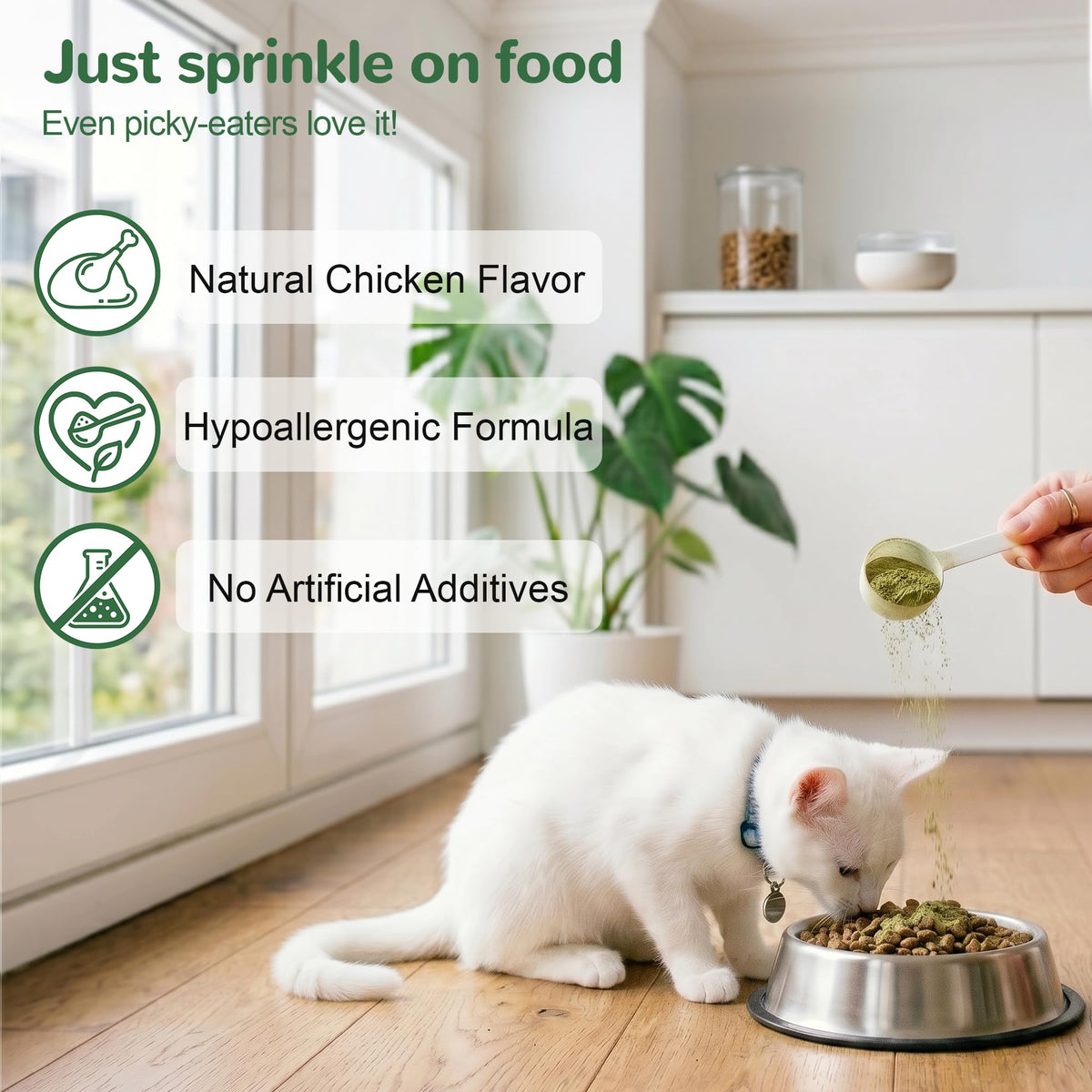 Cat Dental Care Powder with Probiotics 80g X2867