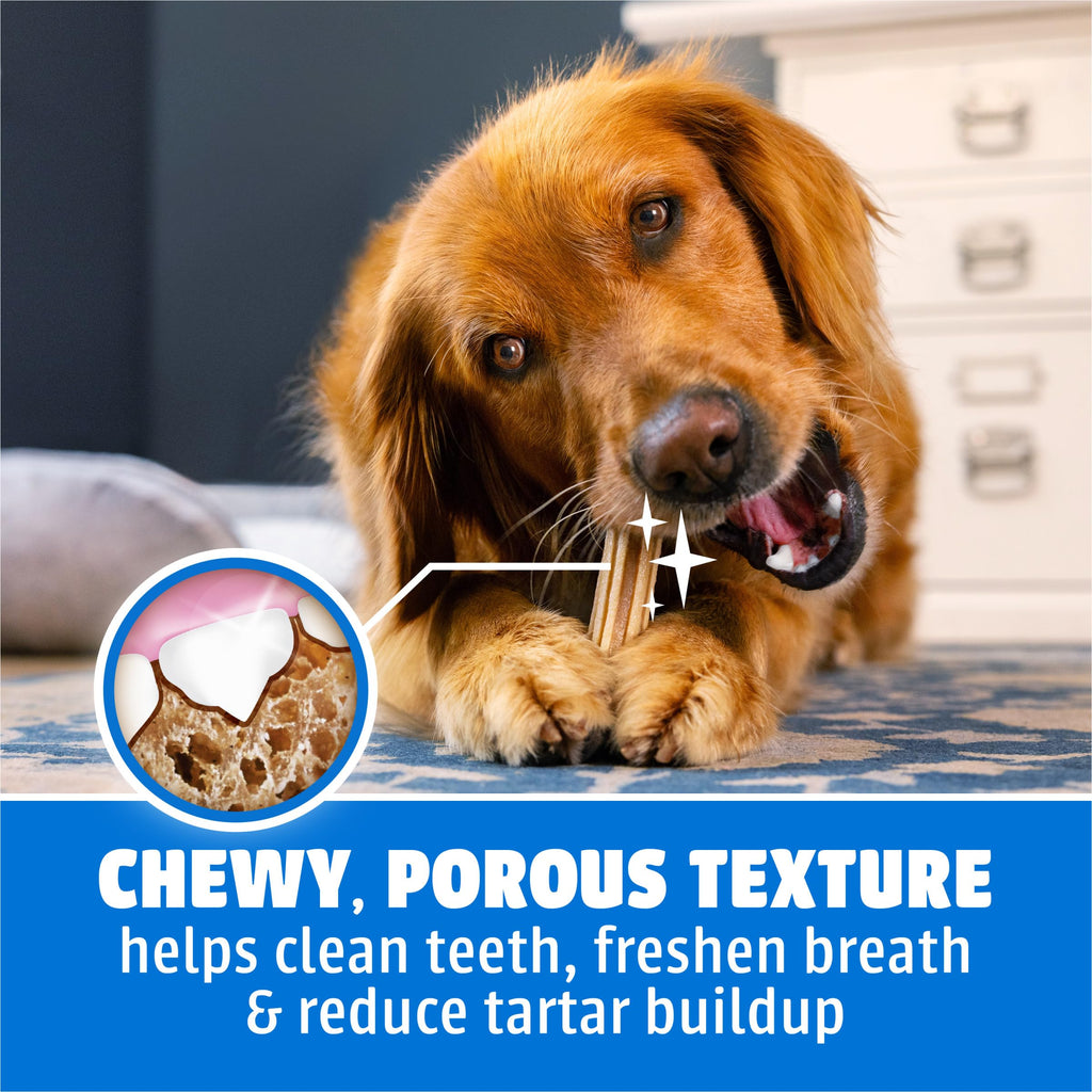 Daily Oral Care Dental Chews for Large Dogs 90 ct V4684