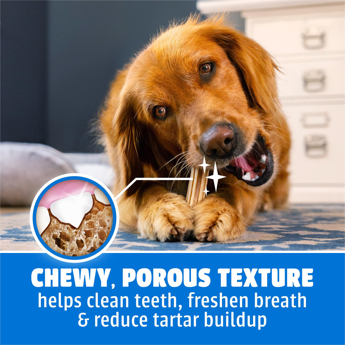 Daily Oral Care Dental Chews for Large Dogs 90 ct V4684