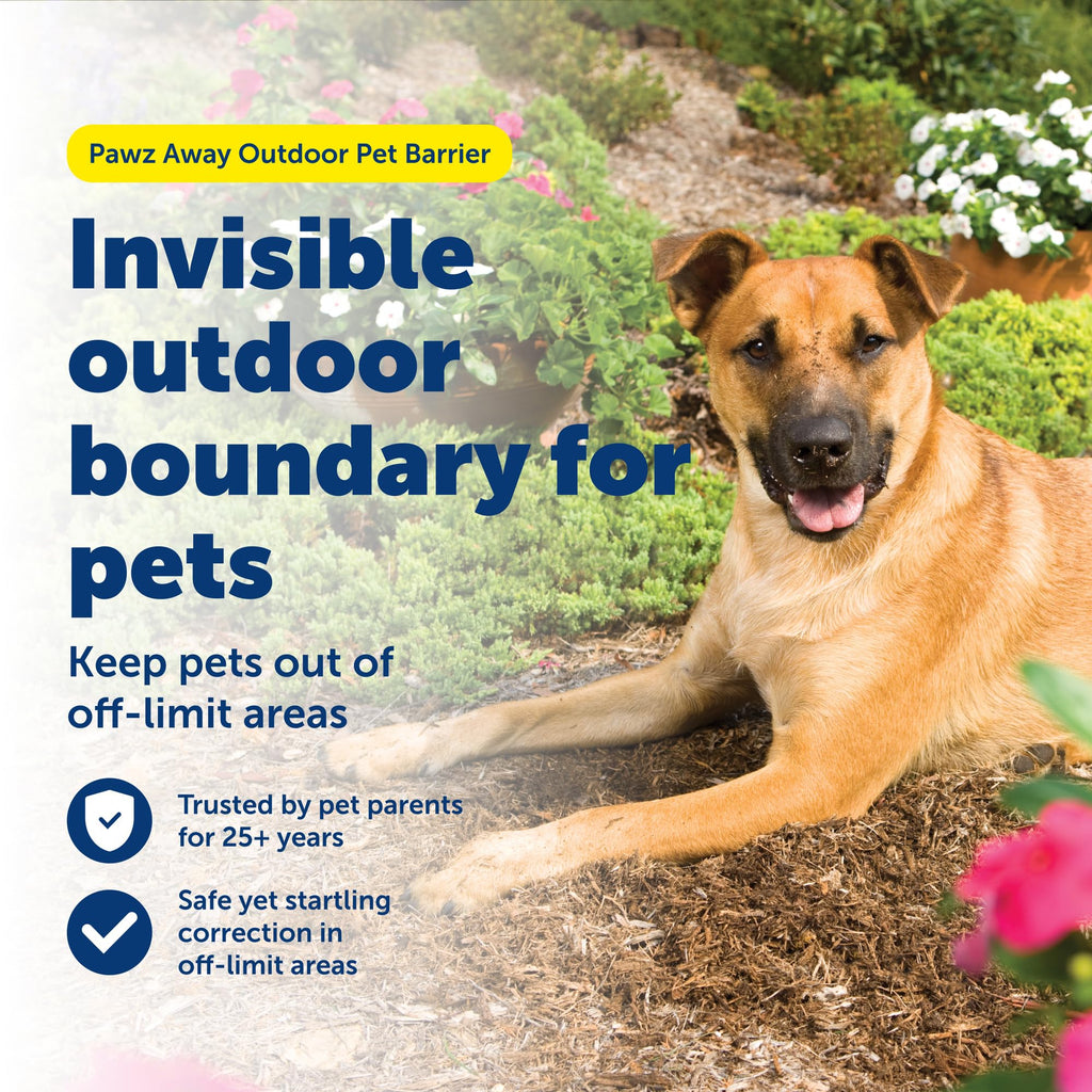 Wireless Outdoor Pet Barrier with Receiver Collar I57681