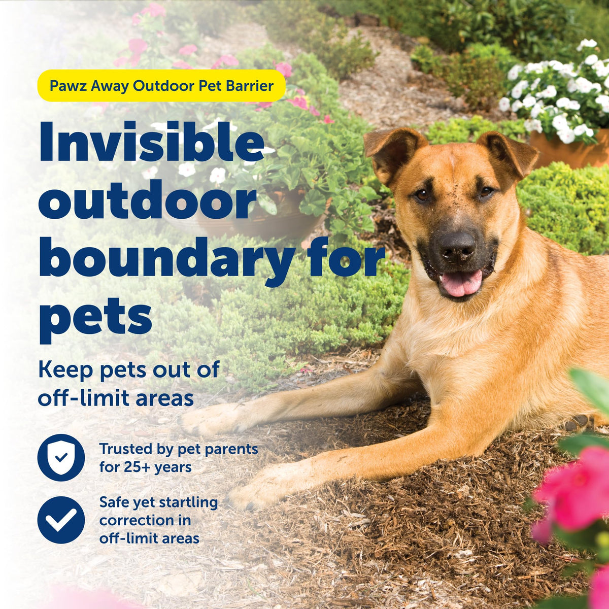 Wireless Outdoor Pet Barrier with Receiver Collar I57681