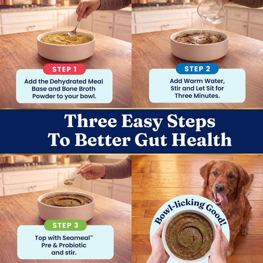 Solid Gold Chicken Dehydrated Dog Food Y700