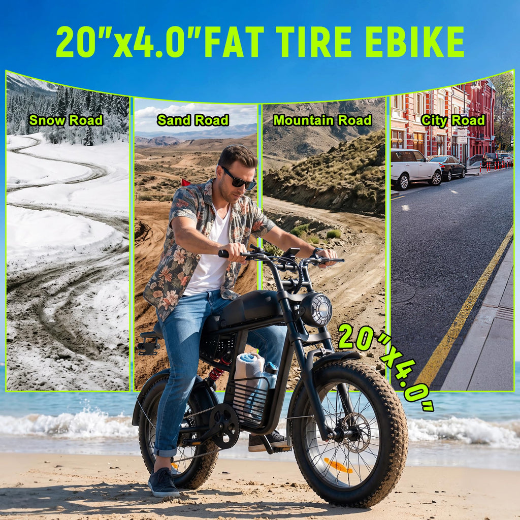 1500W 48V 20Ah Electric Bike R8623